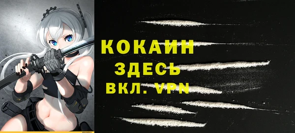 крисы Костерёво