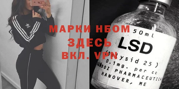 прущие грибы Корсаков