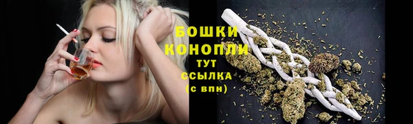 крисы Костерёво