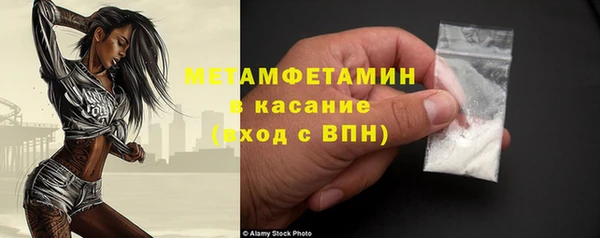 прущие грибы Корсаков