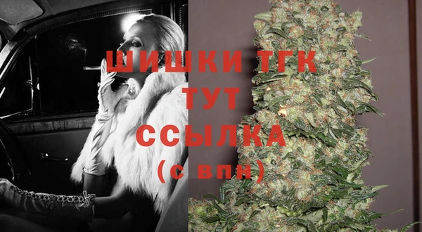 мдпв Коряжма
