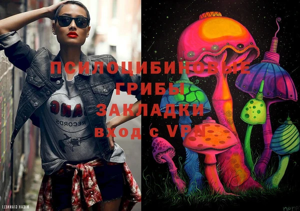 прущие грибы Корсаков