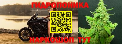 дживик Ирбит