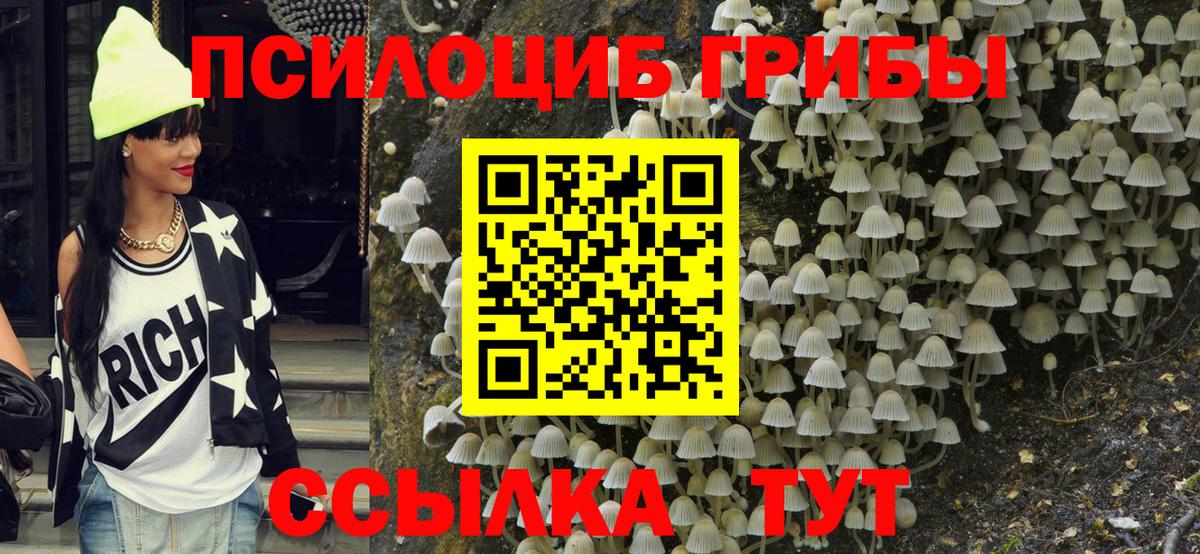 Псилоцибиновые грибы Magic Shrooms Майский